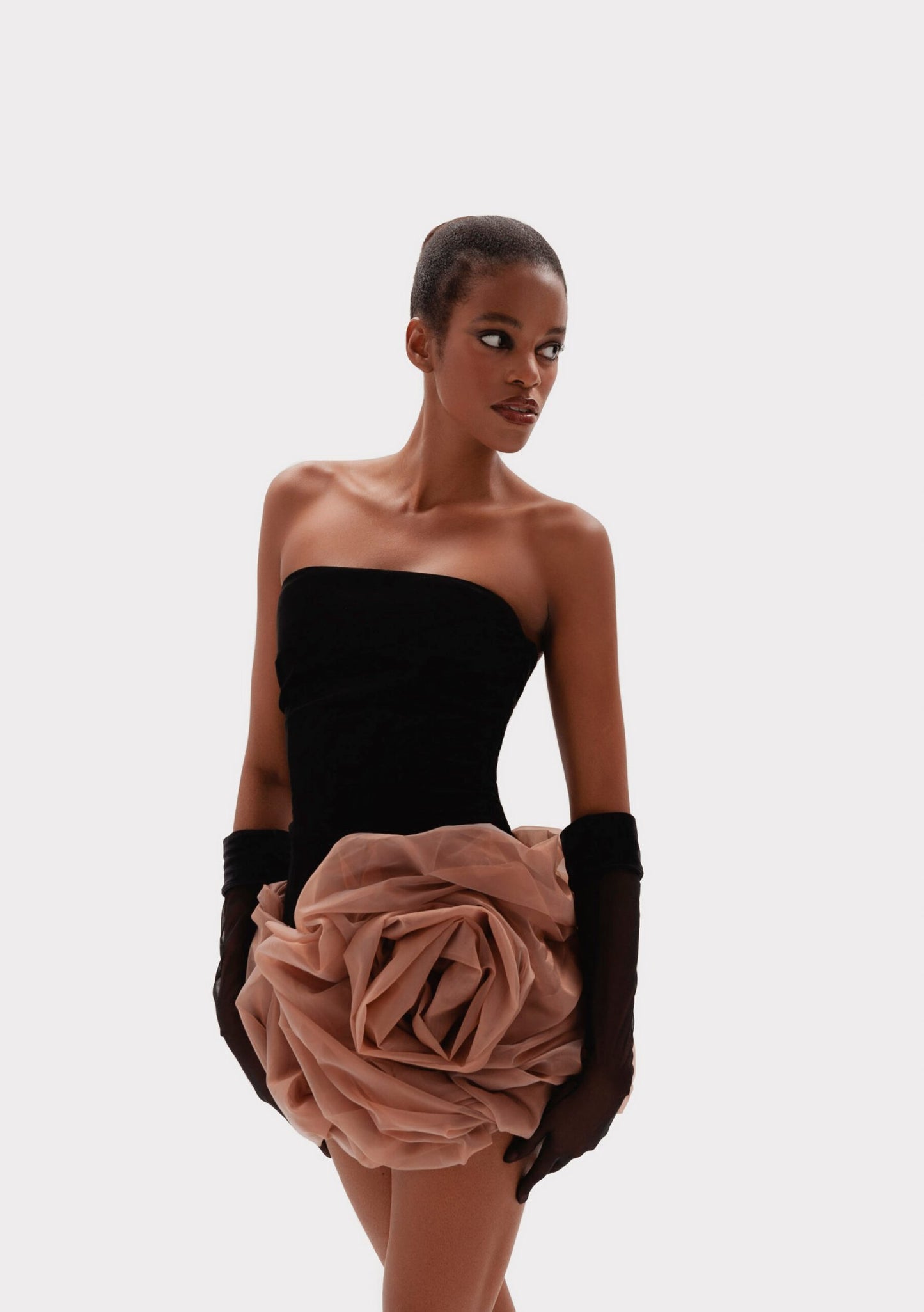 Roman Rose Dress
