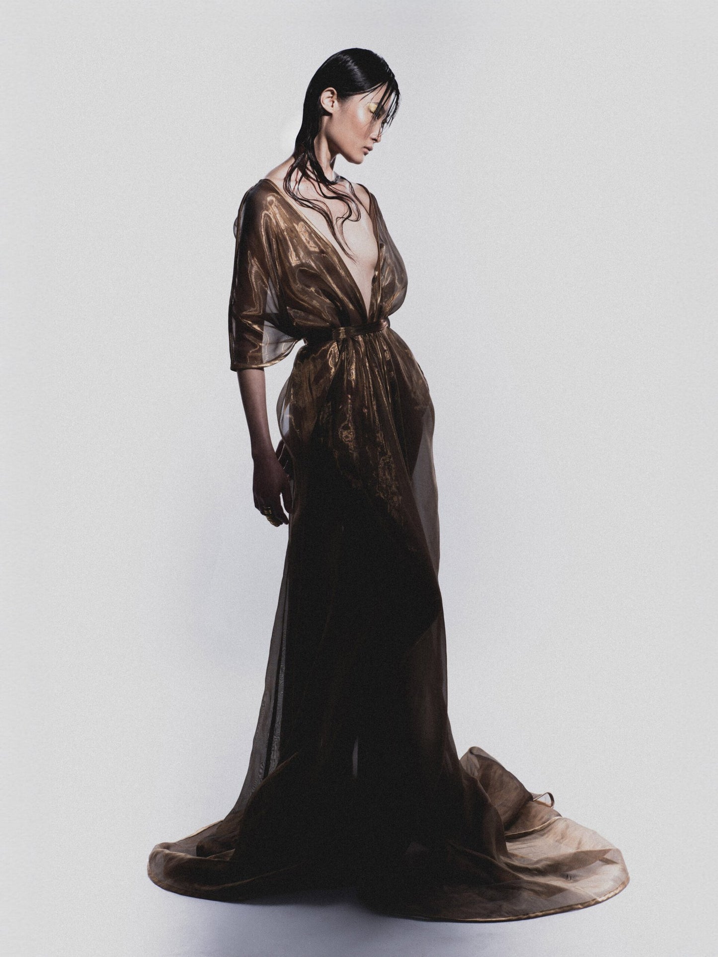 Liquid Gold Kimono Dress