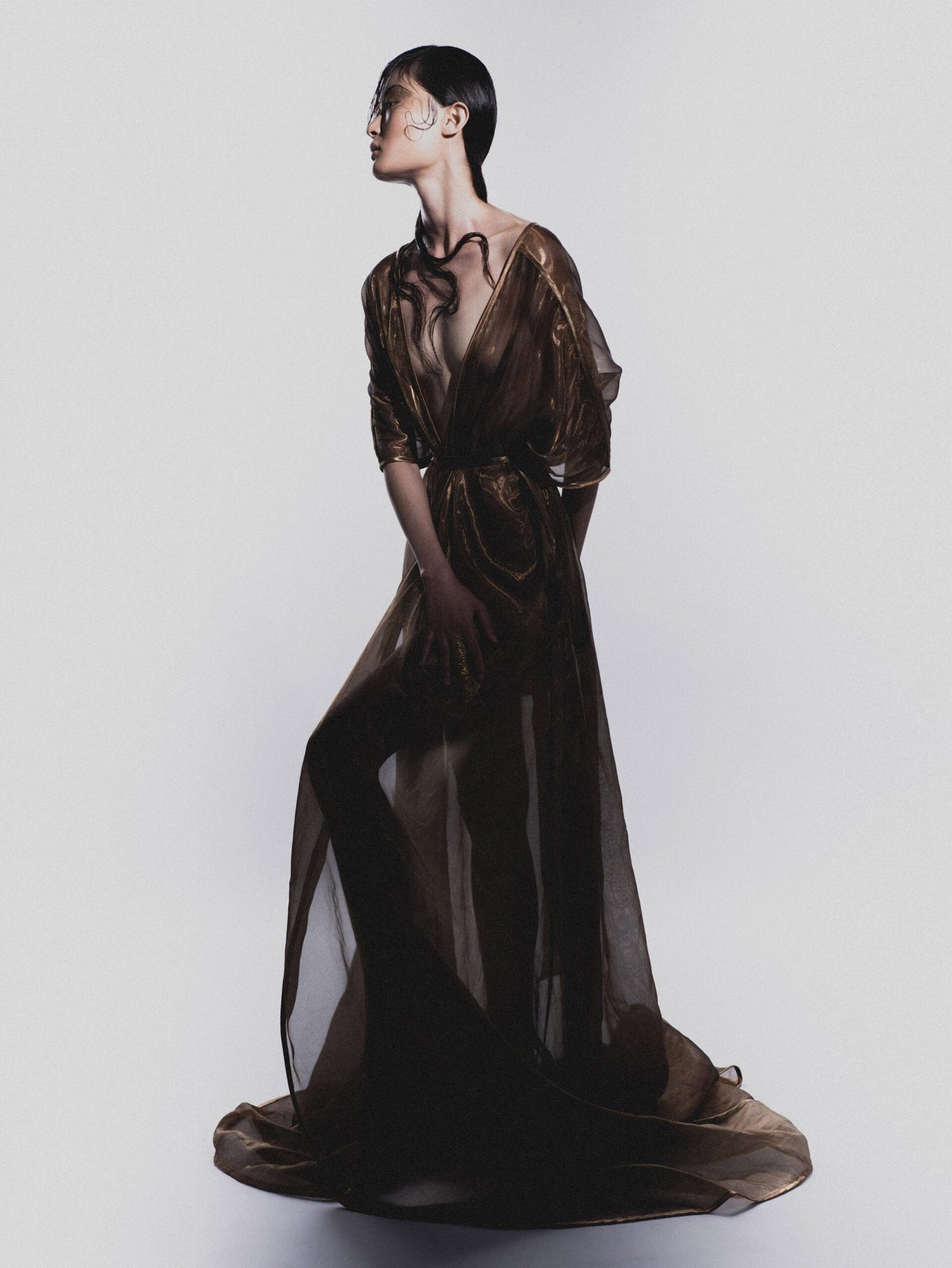 Liquid Gold Kimono Dress