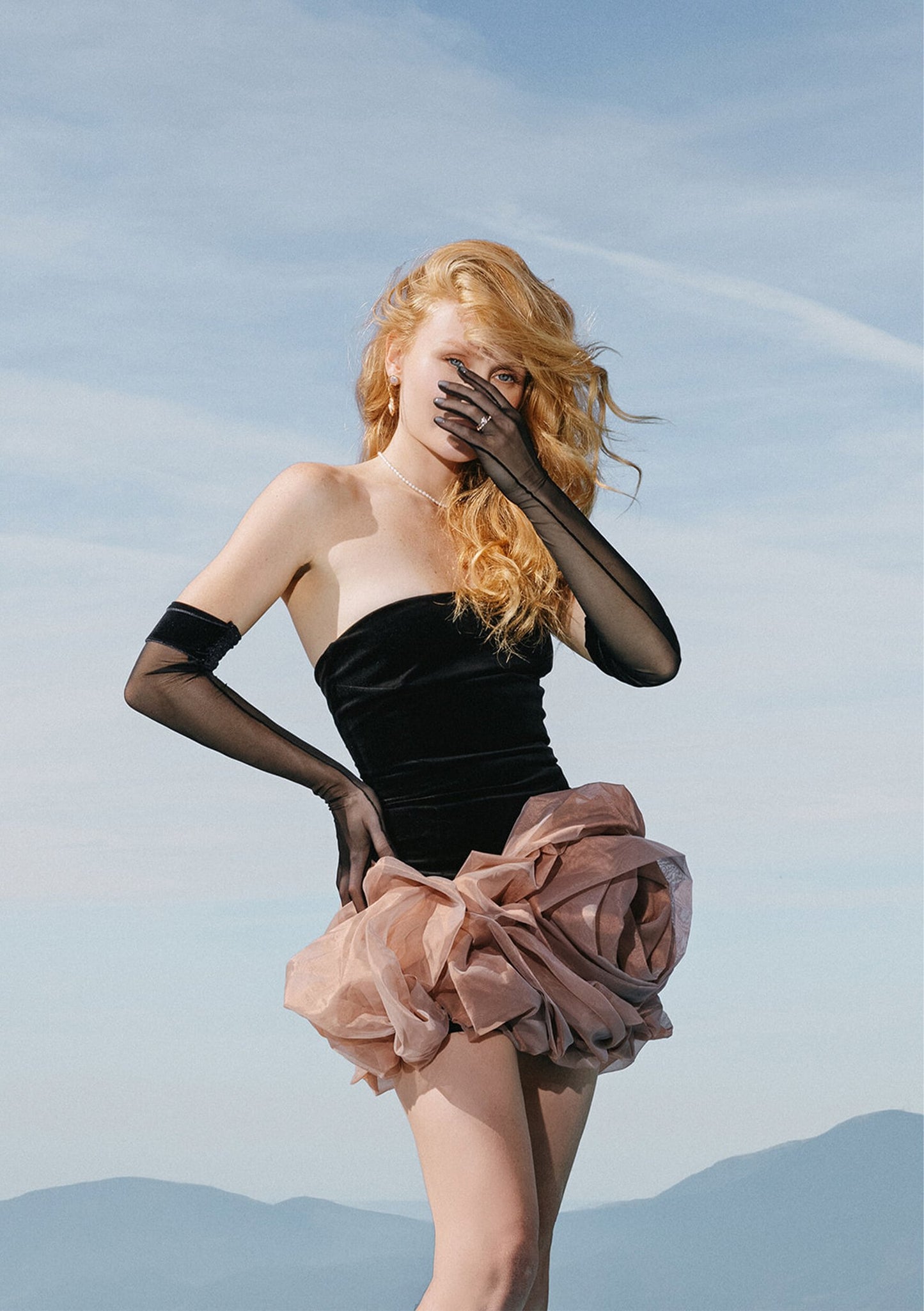 Roman Rose Dress