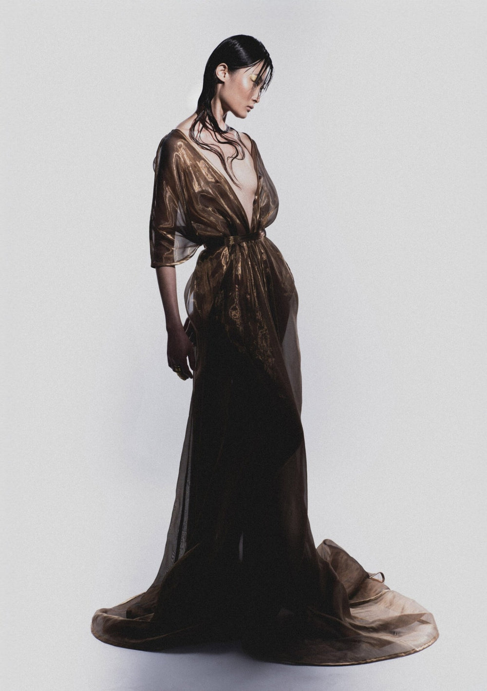 Liquid Gold Kimono Dress