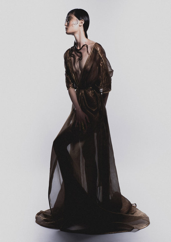 Liquid Gold Kimono Dress