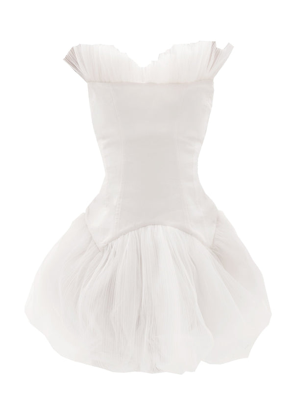 Swan Lake Dress